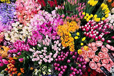 《极限竞速：地平线5》新春杯五菱分站赛赛果新鲜出炉！