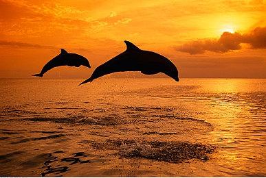 虽然《GTA6》跳票 但T2还是认为财年收入将创纪录